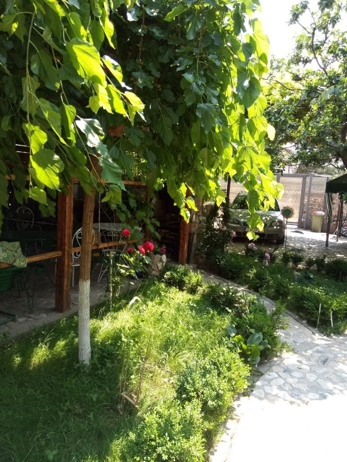 Проживание в семье Hostel Gillda Costineşti-23