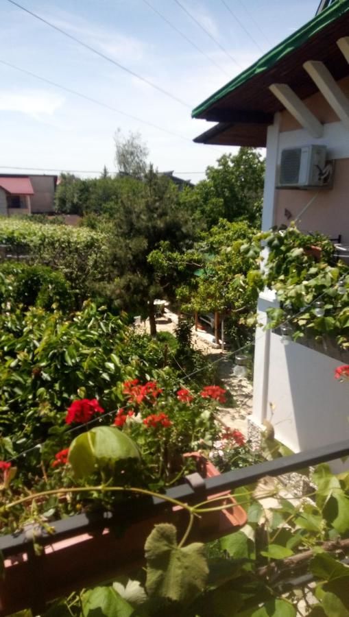 Проживание в семье Hostel Gillda Costineşti-24