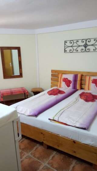 Проживание в семье Hostel Gillda Costineşti Двухместный номер с 1 кроватью и собственной ванной комнатой-17
