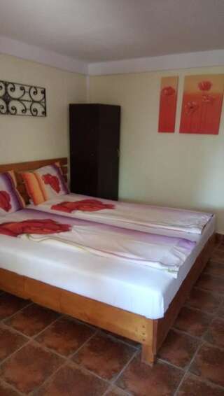 Проживание в семье Hostel Gillda Costineşti Двухместный номер с 1 кроватью и собственной ванной комнатой-4